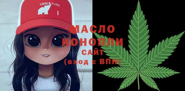 соль ск Абаза