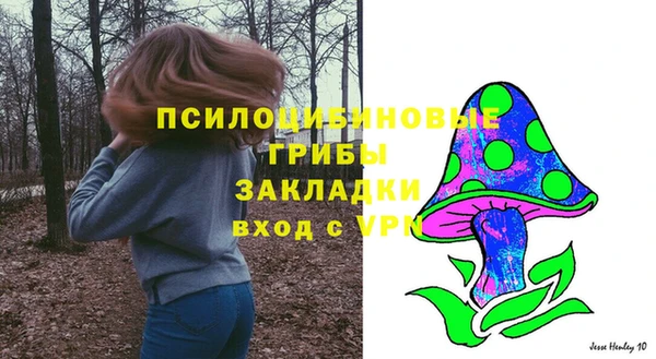 твердый Абинск