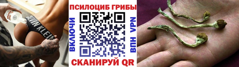 Псилоцибиновые грибы MAGIC MUSHROOMS  Каменка 